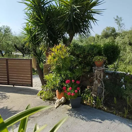 Apartament Pura Vida Laganas